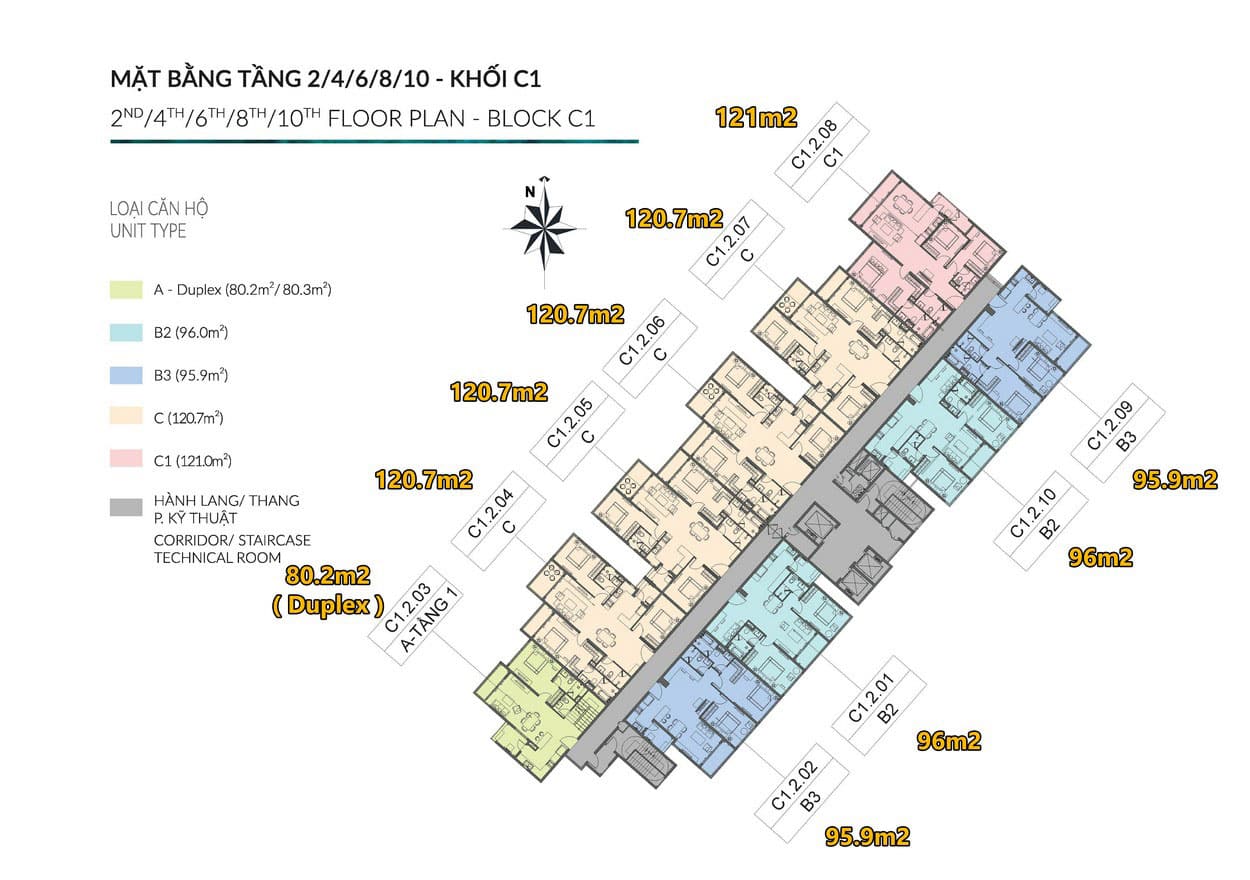 Mặt bằng điển hỉnh tầng 2-4-6-8-10 tháp C1 Diamond Centery