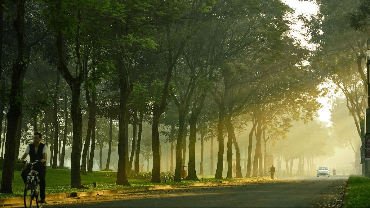 Celadon Central Park