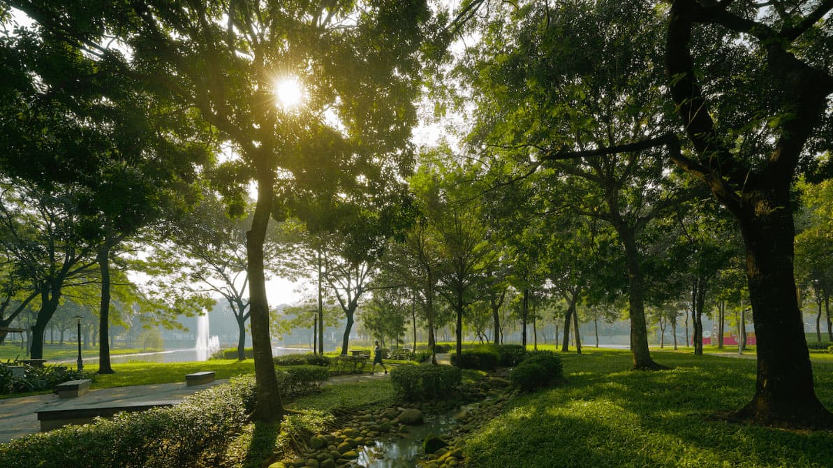 Công viên sinh thái giữa lòng đô thị Celadon Tân Phú