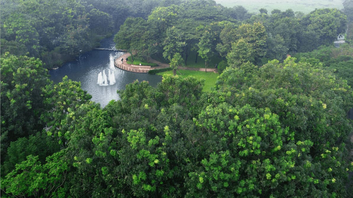 Công viên sinh thái giữa long đô thị Celadon