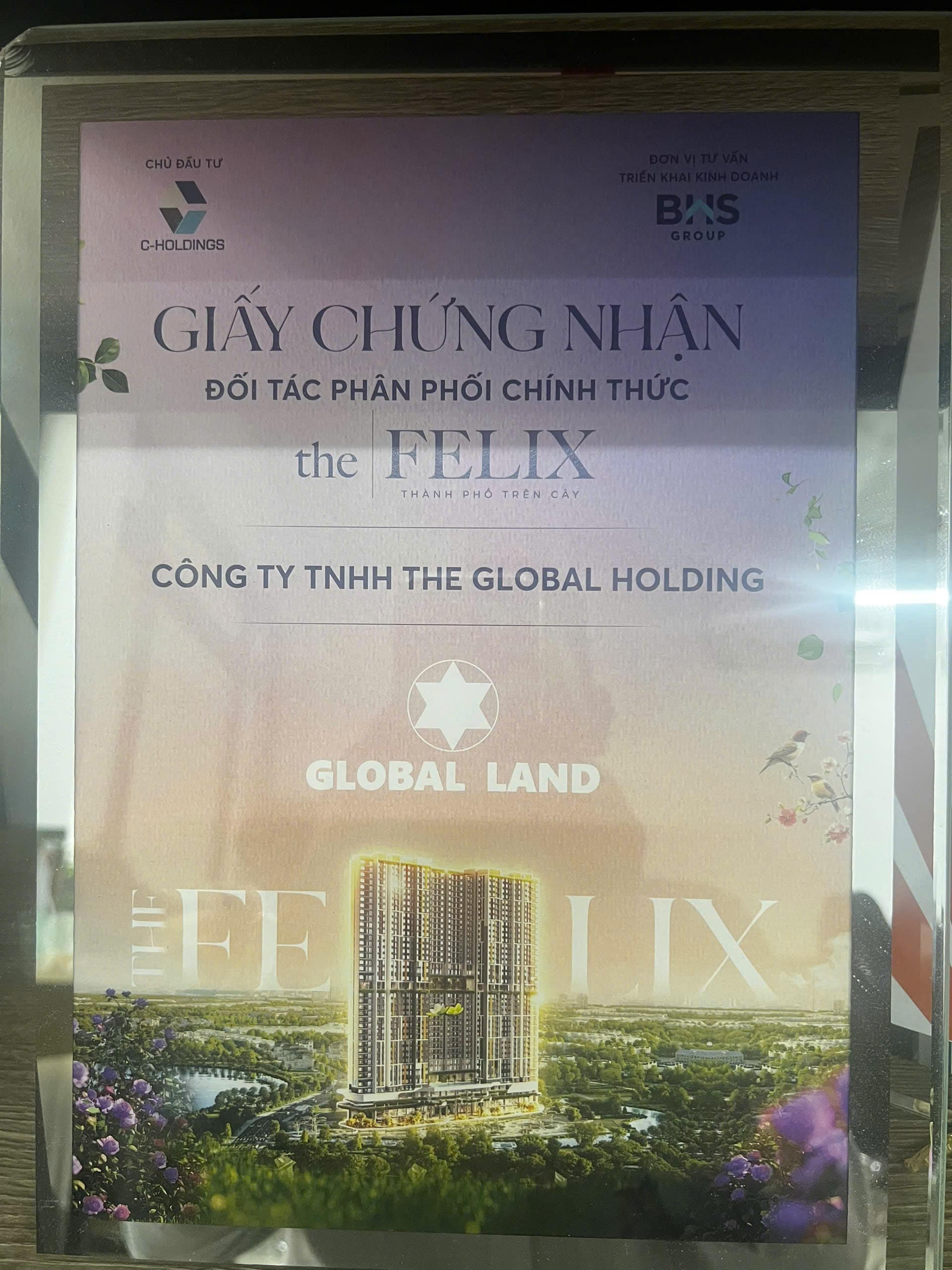 Giấy chứng nhận The Global Holding là đại lý phân phối dự án Felix